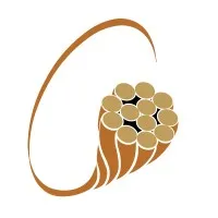 Town & Country Group