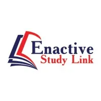 Enactive Study Link |  Educational Consultant