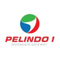 Pelindo 1