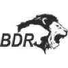 BDR Pharmaceuticals Int'l Pvt Ltd BDR Pharmaceuticals Int'l Pvt Ltd