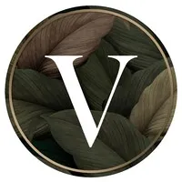 Vision by Milstead and Hayter Vision by Milstead and Hayter