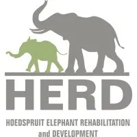 HERD Trust | Hoedspruit Elephant Rehabilitation and Development