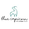 Blue Capricorn Interior Design Studio Blue Capricorn Interior Design Studio