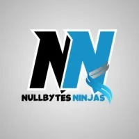NullByteNinjas NullByteNinjas