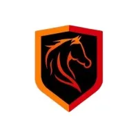 Payoja Soft IT services