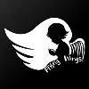 Flying Wings Flying Wings