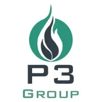 P3 Group Inc