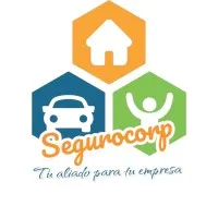 Seguro Corp Seguro Corp