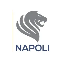 Napoli Consultoria Empresarial