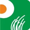 Pinnacle Trades - Pinnacle Brocom & Pinnacle Forex & Securities Pinnacle Trades - Pinnacle Brocom & Pinnacle Forex & Securities