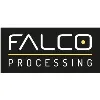 Falco Processing