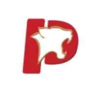 Puma Lajes Alveolares Puma Lajes Alveolares