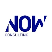 NOW Consulting - a Qrious company verified emails