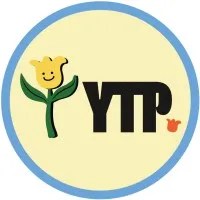 The Yellow Tulip Project The Yellow Tulip Project