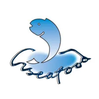 VISEAFOOD INTERNATIONAL LIMITED VISEAFOOD INTERNATIONAL LIMITED