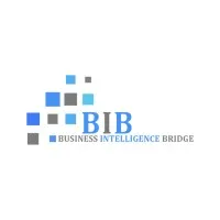 Business Intelligence Bridge