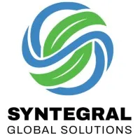 Syntegral Global Solutions