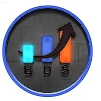 Bhartiya Digital Services (BDS)
