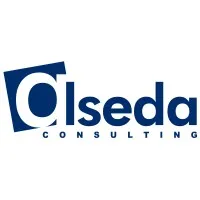 alseda Consulting alseda Consulting