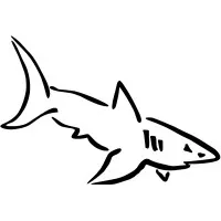 White Shark Energy LLC