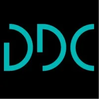 DData consulting