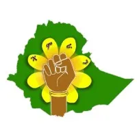 TIMRAN (ትምራን)