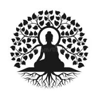 NAMASTASYE Salud Integral