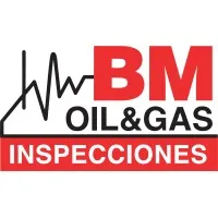 BM Inspecciones BM Inspecciones