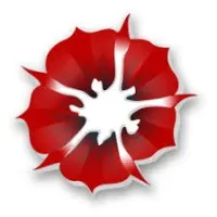 Seyal Infotech