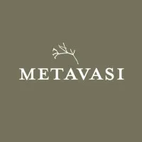 Metavasi Capital