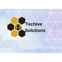 Techive Solutions Pvt Ltd