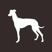 SIGHTHOUND Search Partners