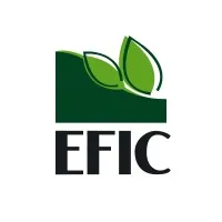 Egyptian Financial and Industrial Company