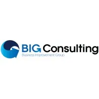 BIG Consulting