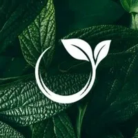 Soaljo