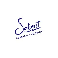 Salient Industries Limited Nigeria