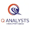 Q Analysts Q Analysts