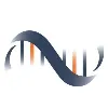 Base4 Dynamics