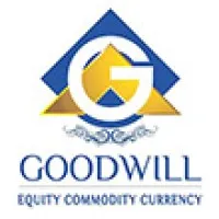 GOODWILL WEALTH MANAGEMENT PVT LTD