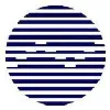Informatics Services Corporation