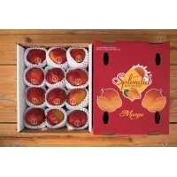 SPLENDID BY PORVENIR, LLC