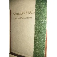 Shruti Shah & Co