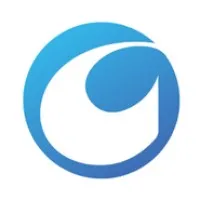Carve Advisors