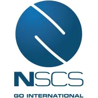 N-Strategy Consulting Services