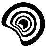 Niso Dynamic