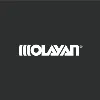 The Olayan Group The Olayan Group