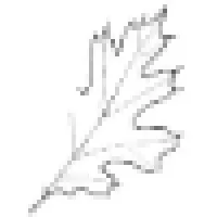 Black Oak Engineering, Inc.