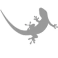 geckonsulting