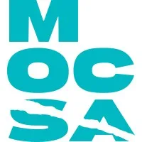 Metropolitan Organization Countering Sexual Assault (MOCSA)