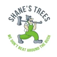 Shane's Trees